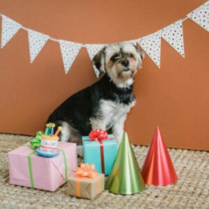Digital Pet Birthday Kit