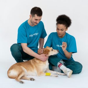 Digital Service for Animal Volunteers