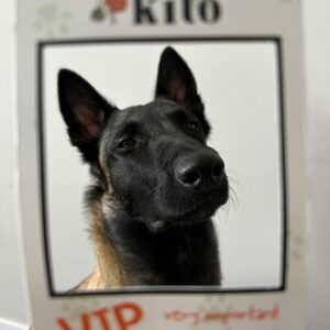 Digital Pet ID Card with QR Code