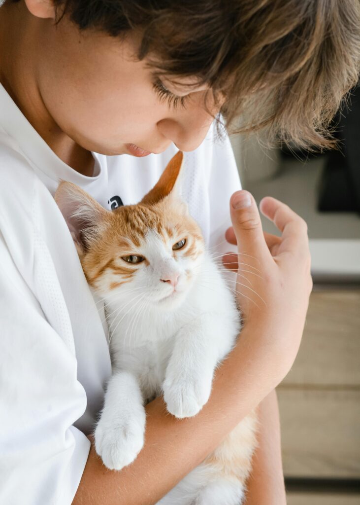 pexels-photo-11725367-11725367 A child gently cuddling a calm white and ginger cat indoors, showcasing a tender moment.