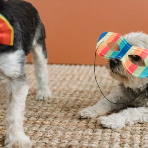 Digital Event Promotion for pet related Events