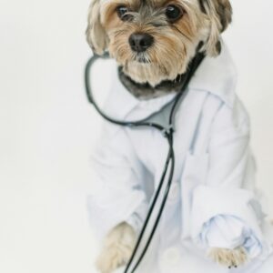Digital General Pet Medical Guide